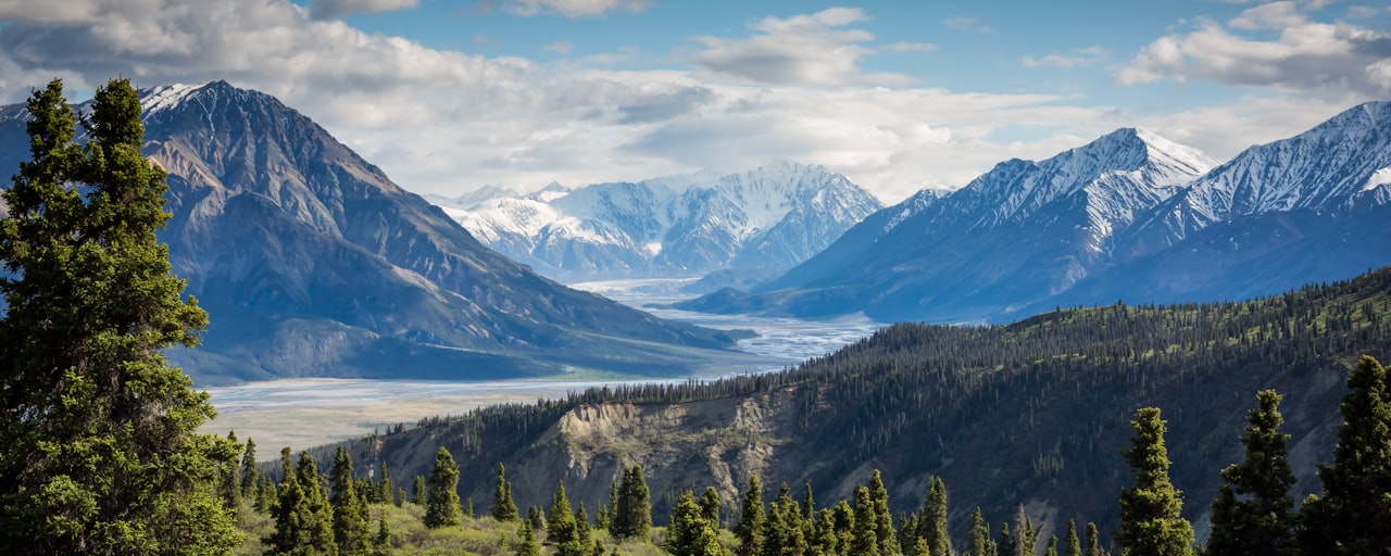 Spruce forest rising toward snow-capped mountains in a northern valley.